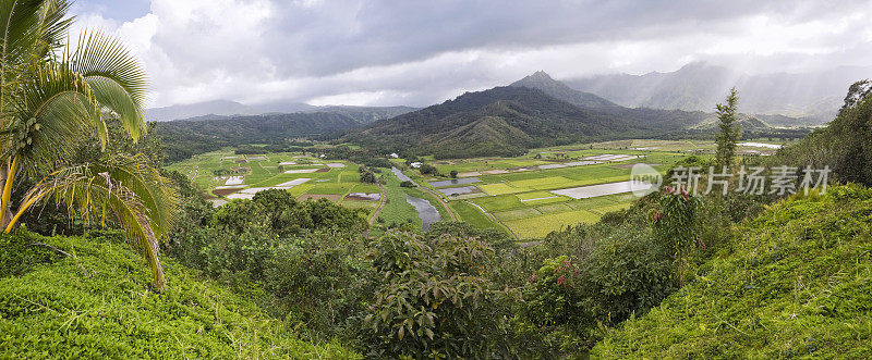 哈纳雷谷全景 （XXL）